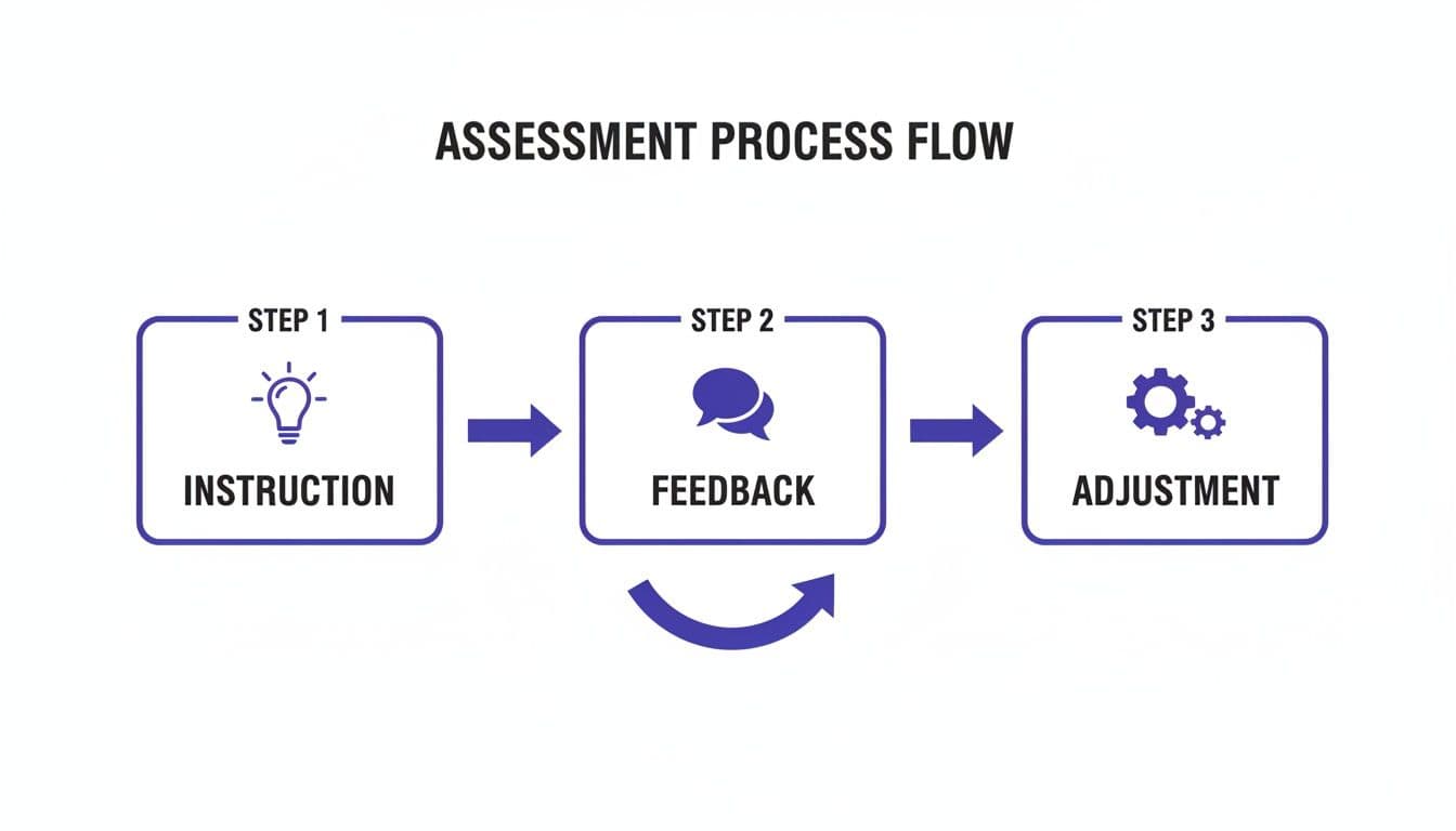 A diagram showing the assessment process flow with steps for instruction, feedback, and adjustment.