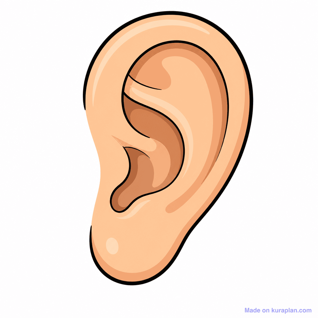 Body Parts — Face illustration sample