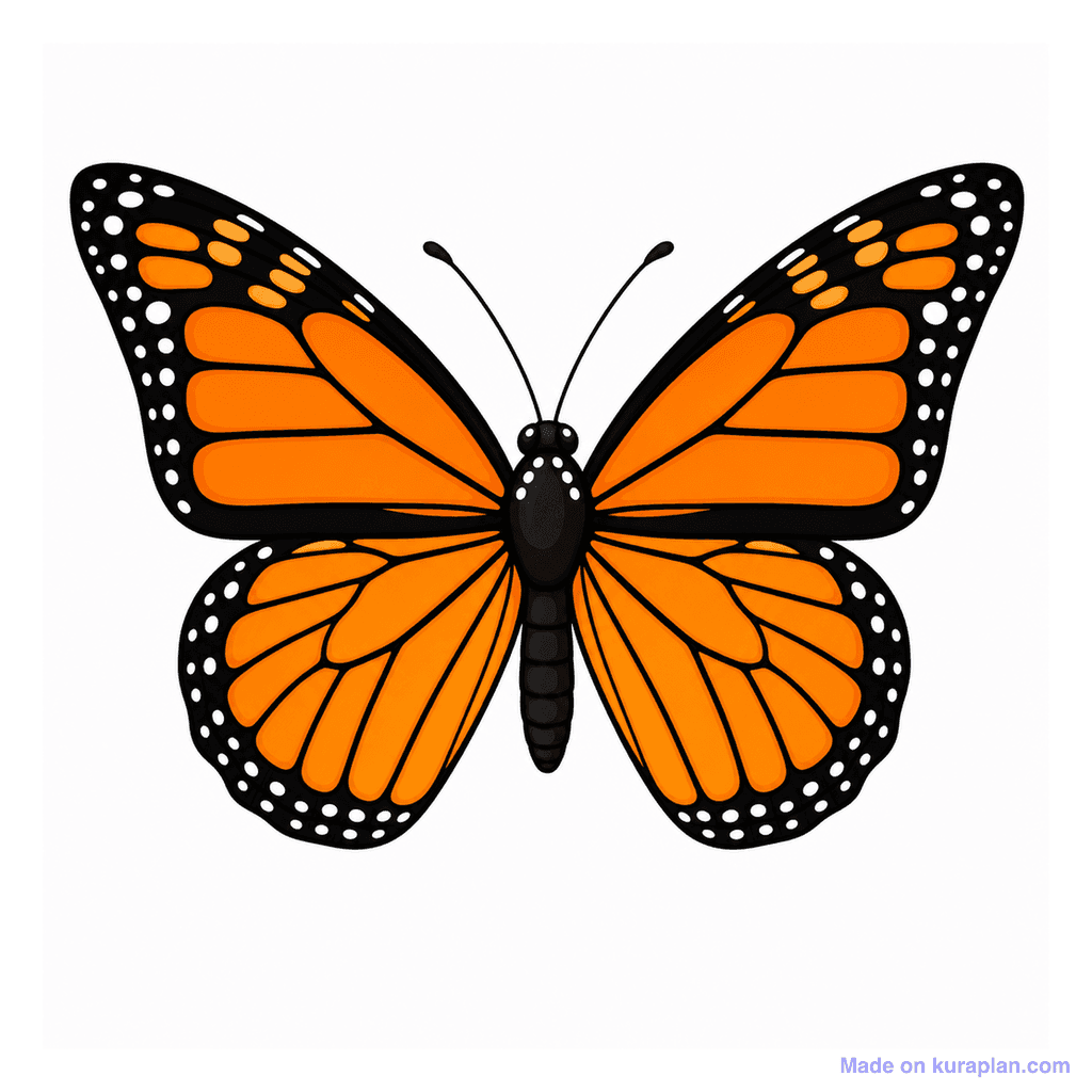 Collection — 1 butterfly