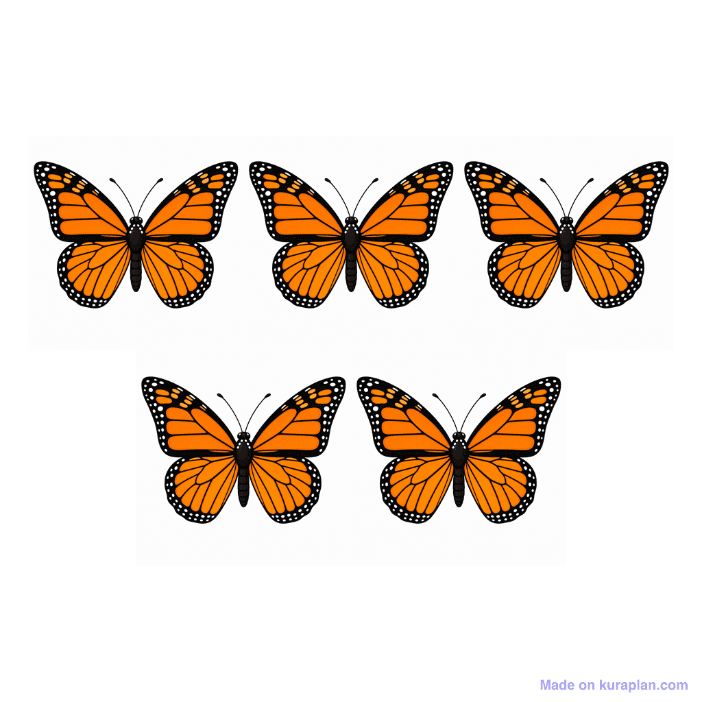 Collection — 5 butterflies