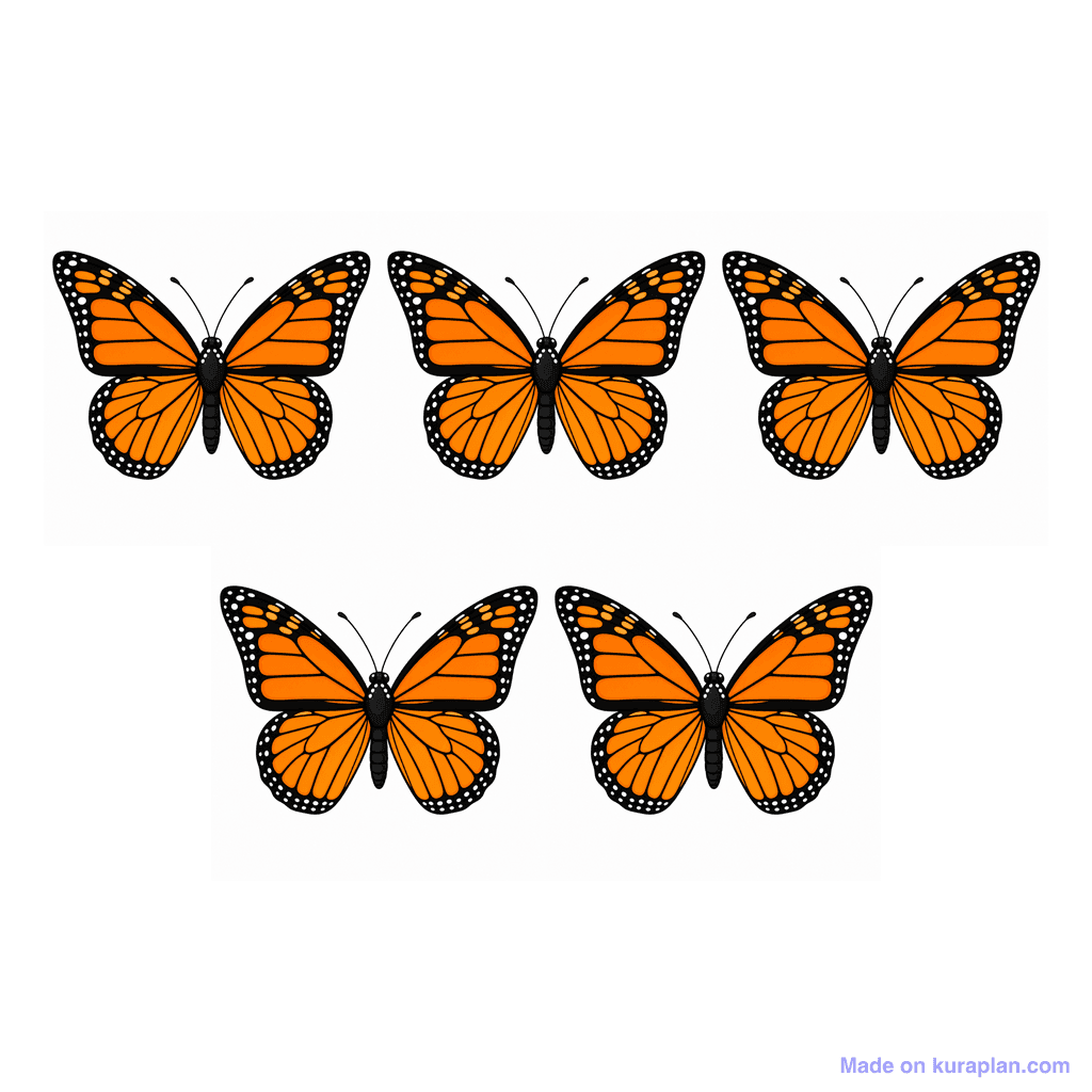 Collection — 5 butterflies