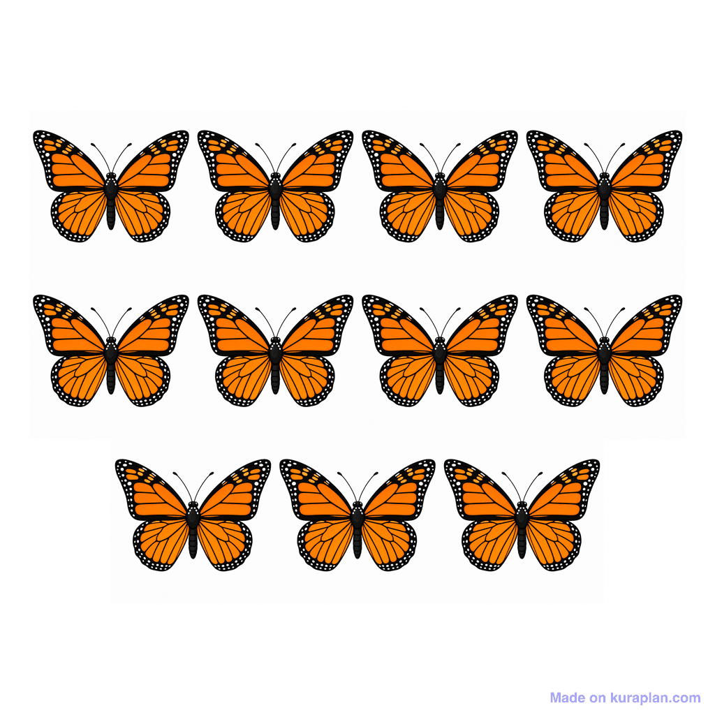 Collection — 11 butterflies