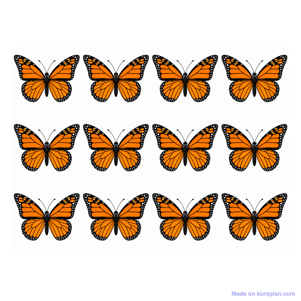 Collection — 12 butterflies