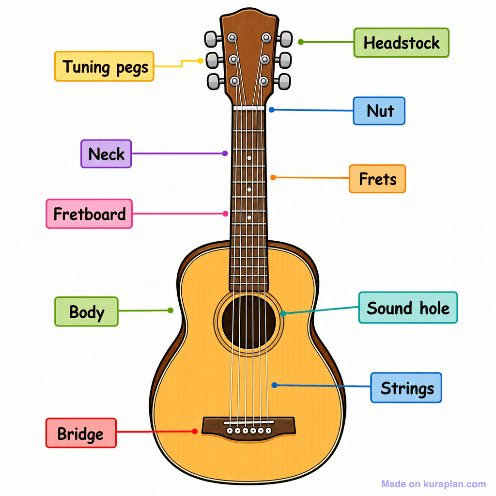 Music Acoustic Guitar Labelled