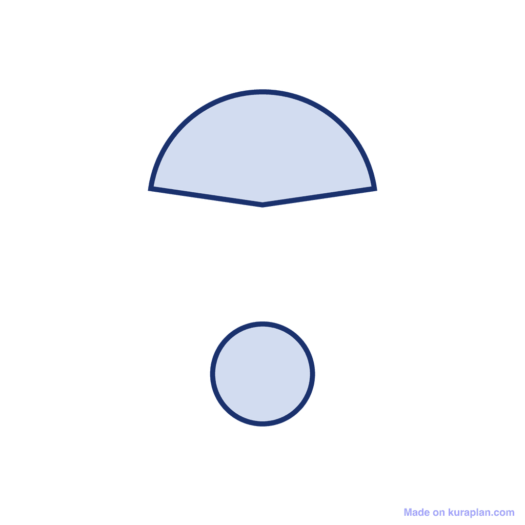 Net of a Cone