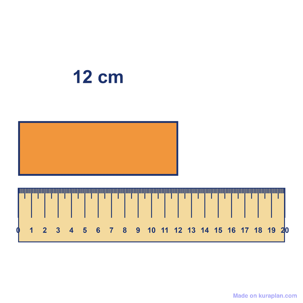 Ruler — Object Measuring 12 cm