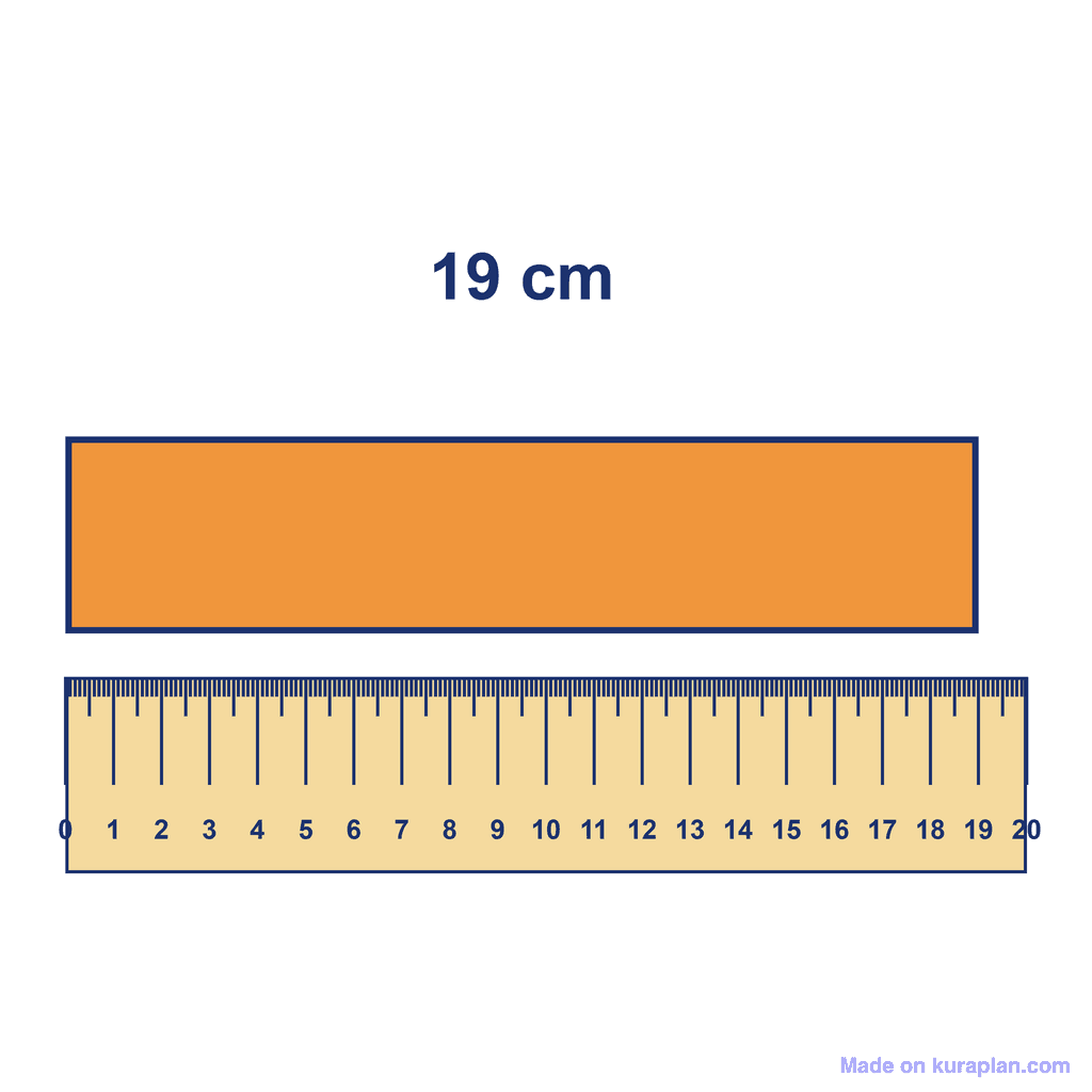 Ruler — Object Measuring 19 cm