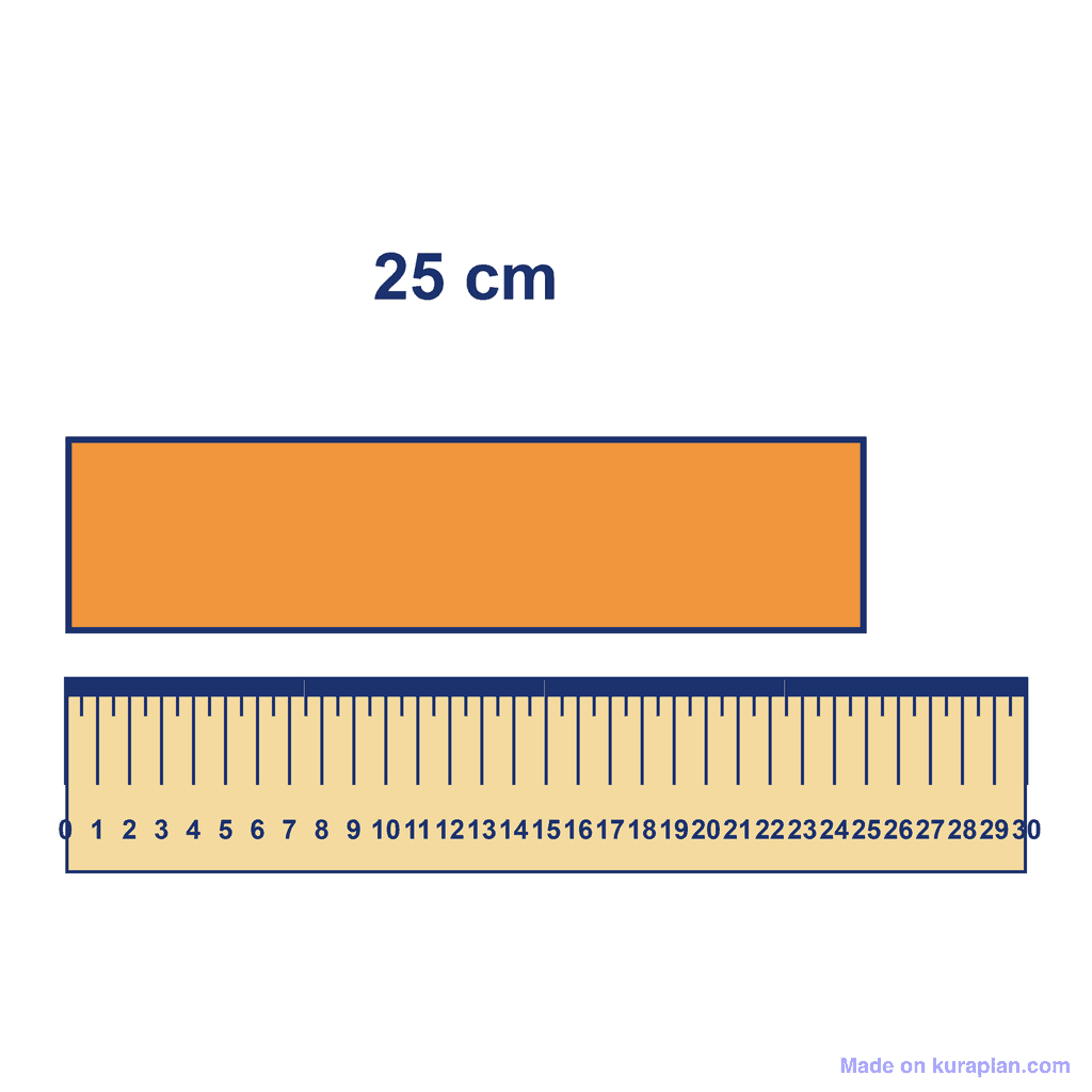 Ruler — Object Measuring 25 cm