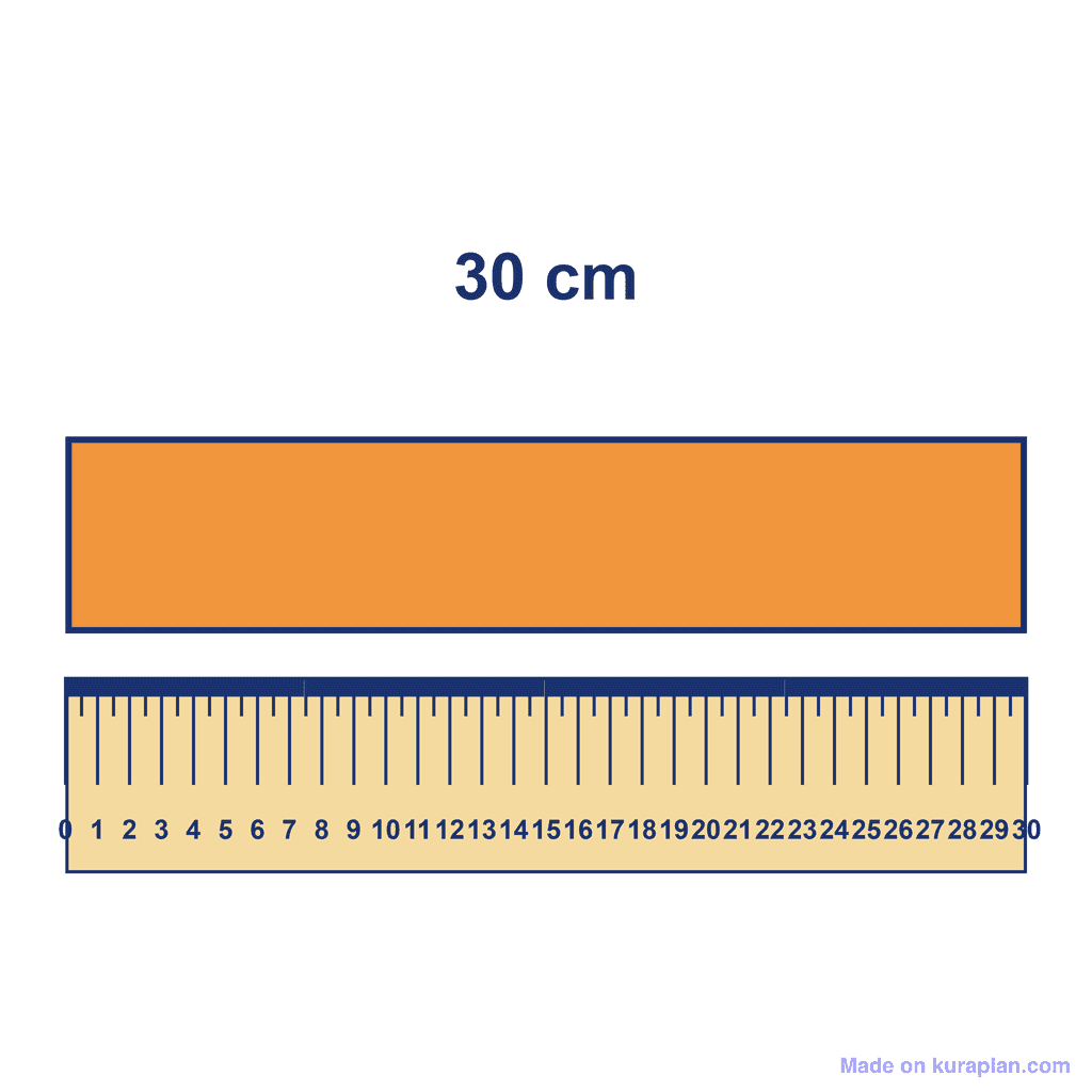 Ruler — Object Measuring 30 cm