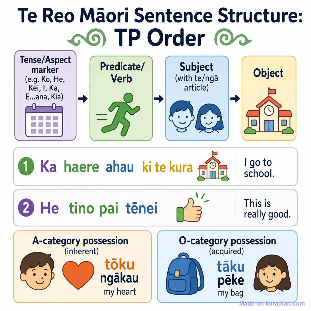 Te Reo Māori Sentence Structure: TP Order (simple)