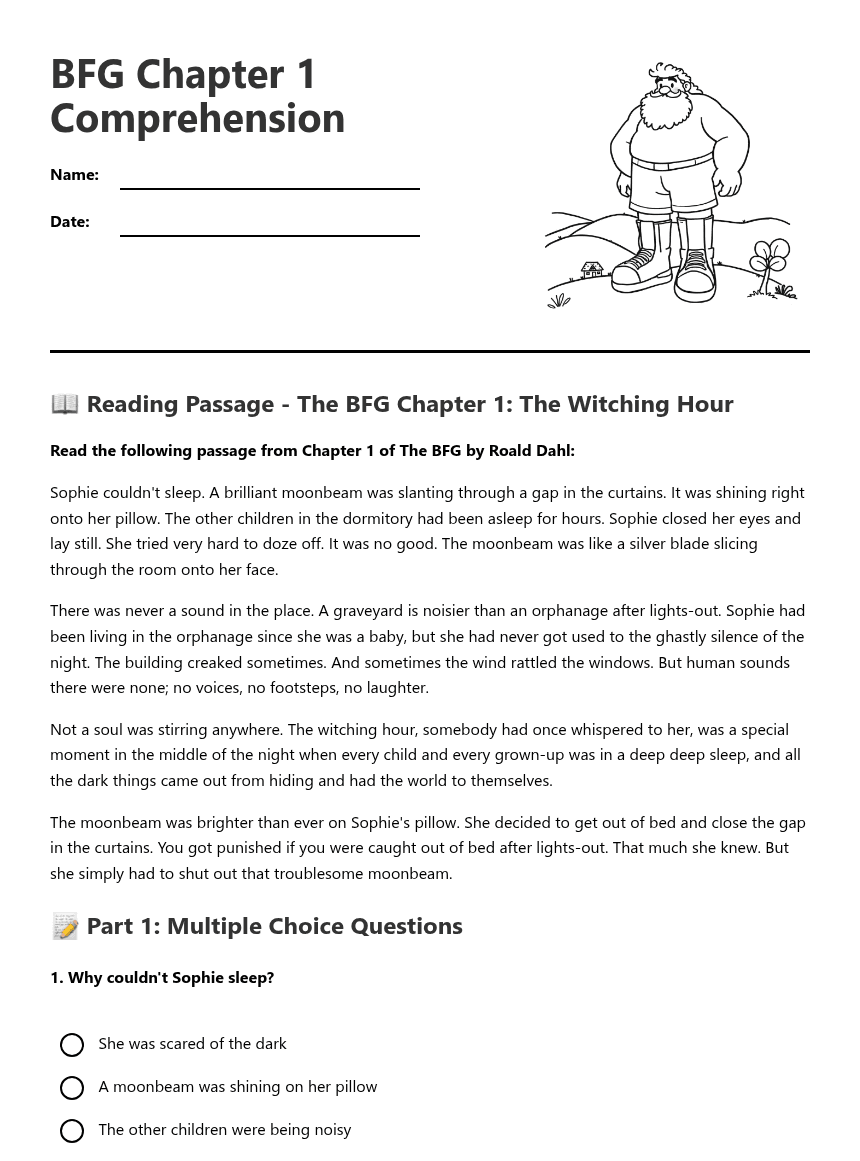 BFG Chapter 1 Comprehension worksheet preview