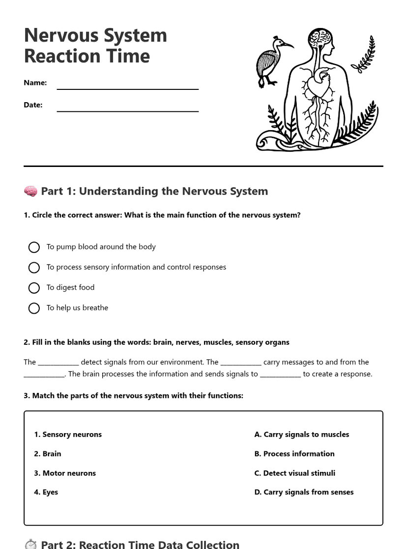 Nervous System Reaction Time