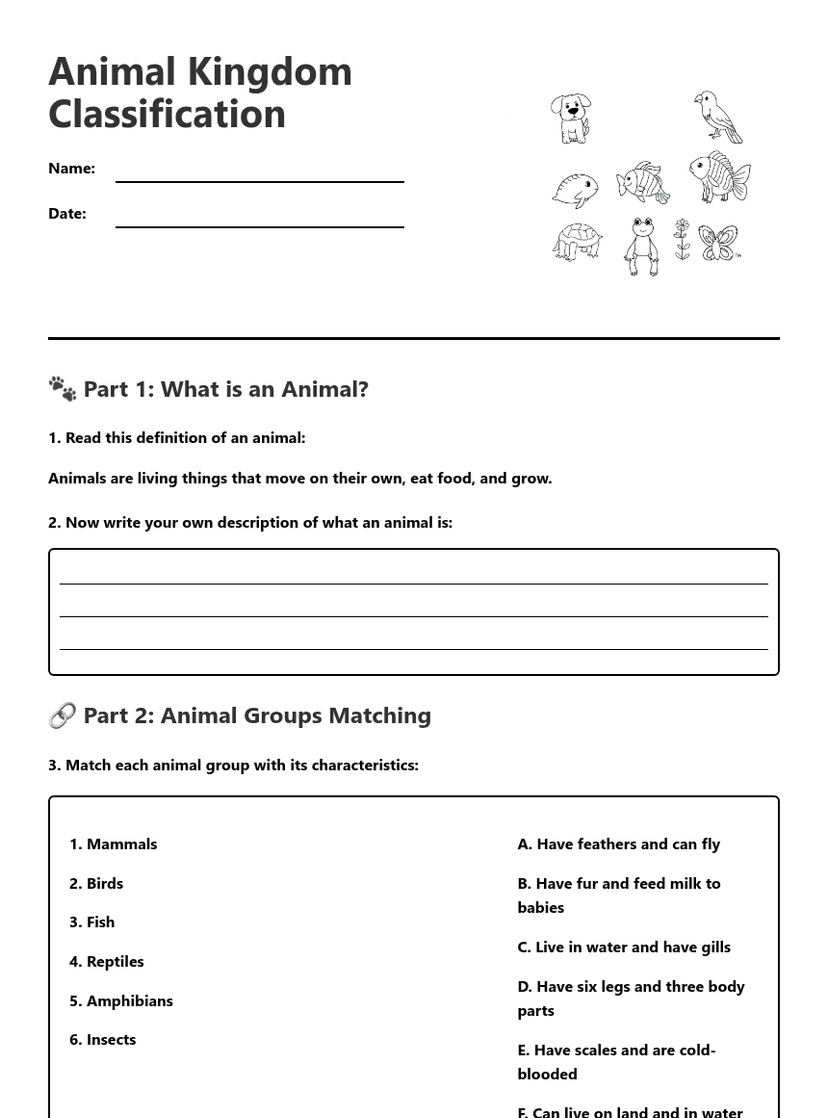 Animal Kingdom Classification