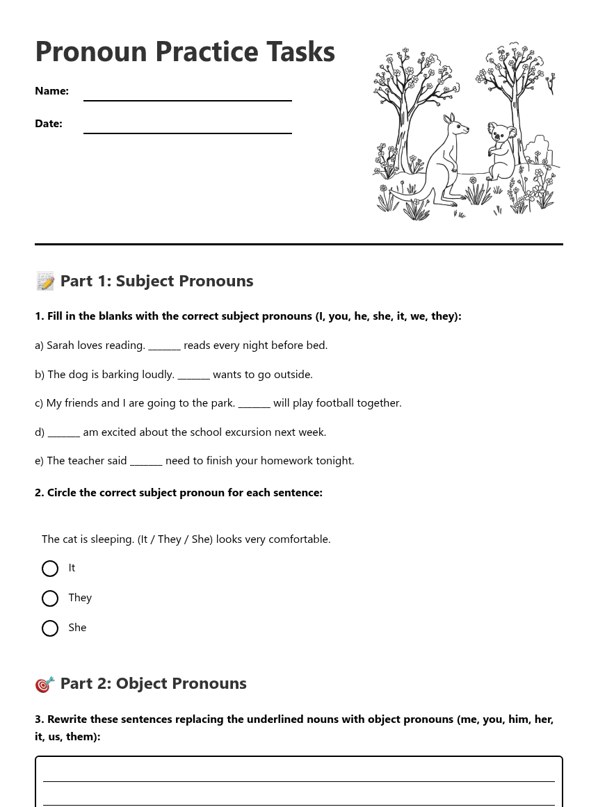 Pronoun Practice Tasks worksheet preview