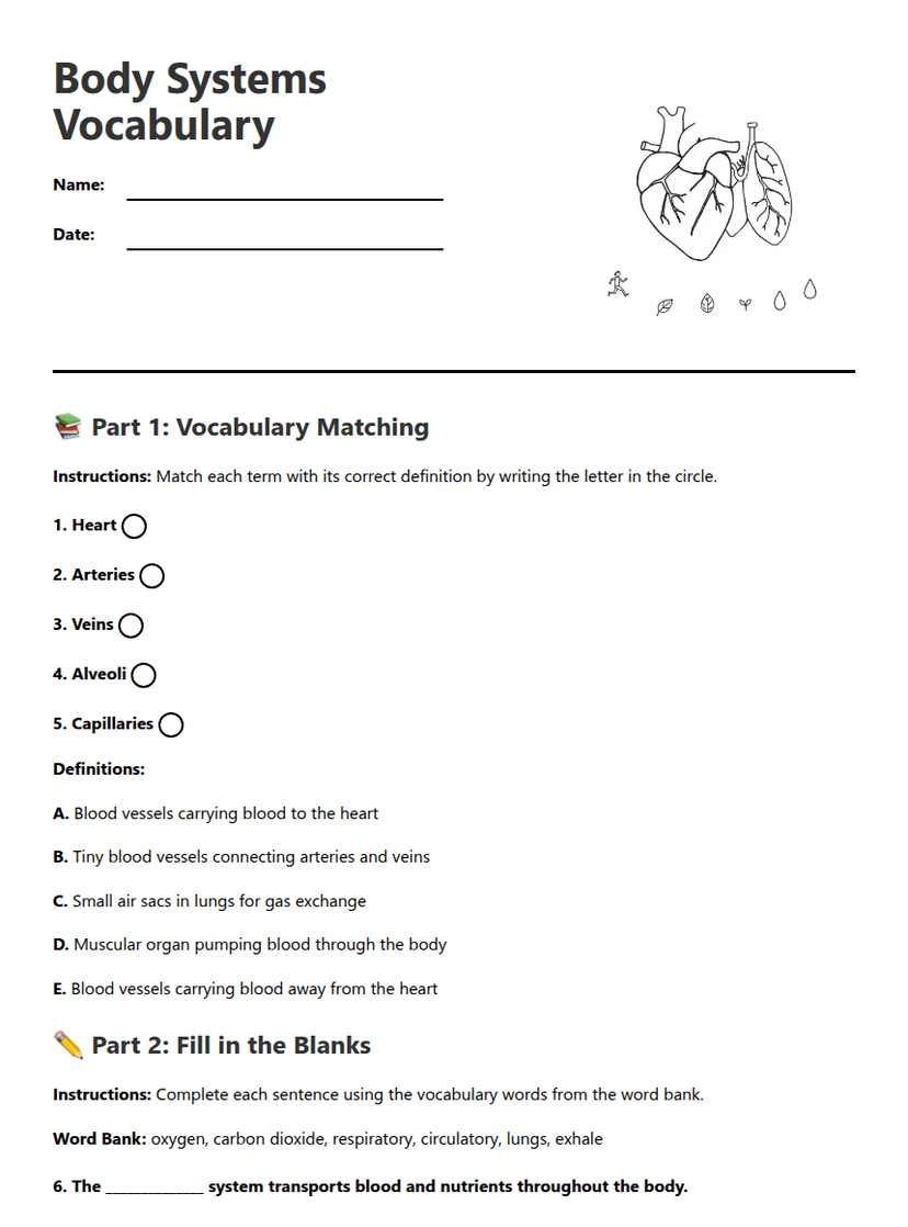 Body Systems Vocabulary